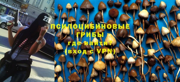 индика Корсаков