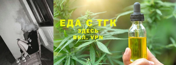 индика Корсаков