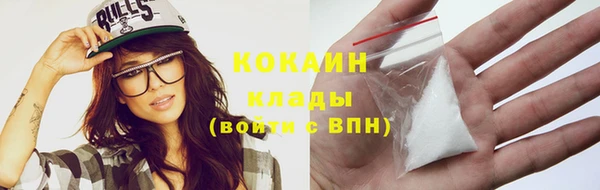 индика Корсаков