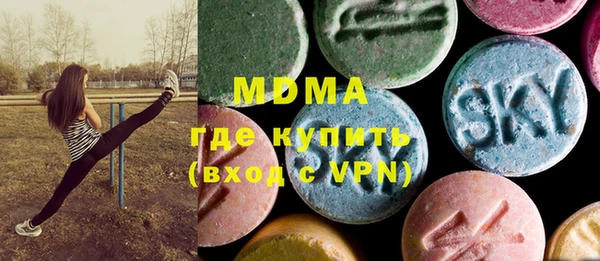 индика Корсаков