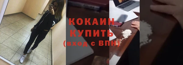 индика Корсаков