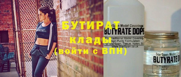 индика Корсаков