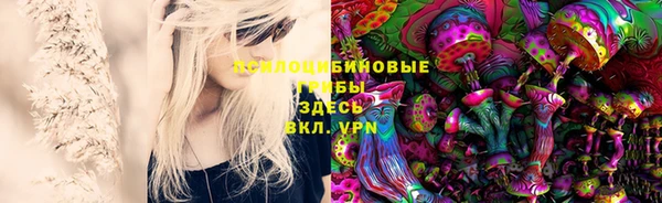индика Корсаков