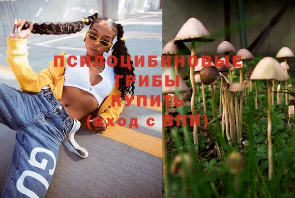 apvp Коряжма