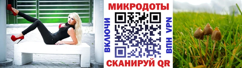Псилоцибиновые грибы мухоморы  Купить  Курлово 
